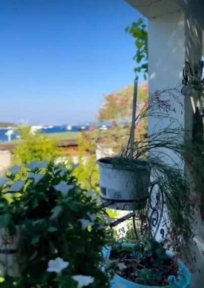Sofi Suites Bodrum Turkey
