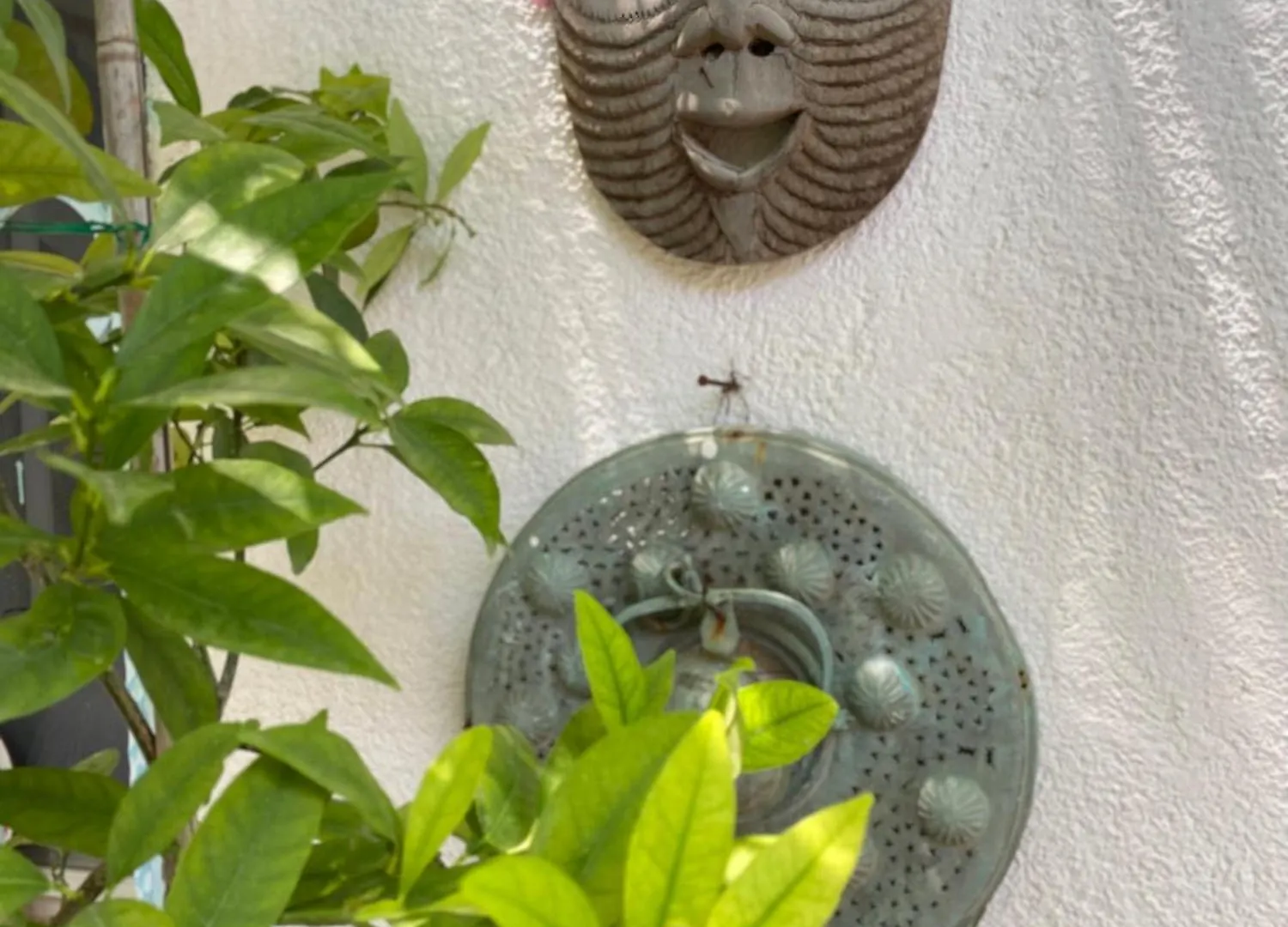 Sofi Suites Bodrum Turkey
